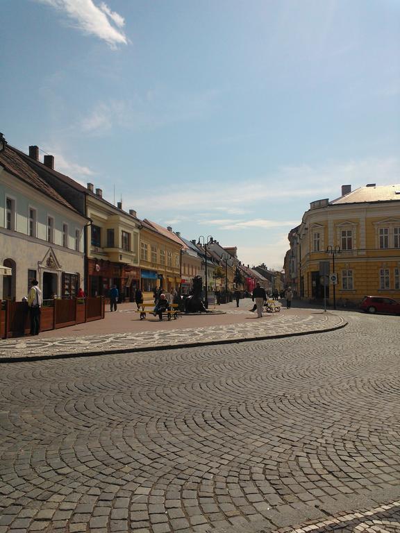 Jičín 露西旅馆酒店 外观 照片